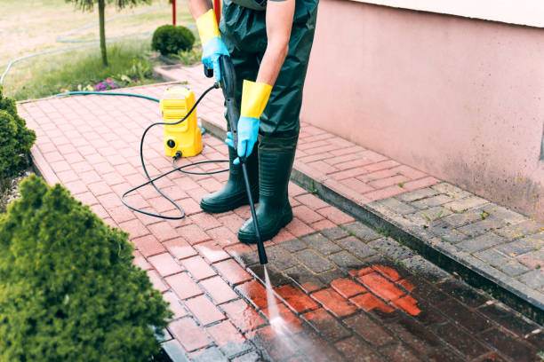 Best Fence Cleaning  in Atwater, MN